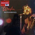 Waylon songbird.jpg